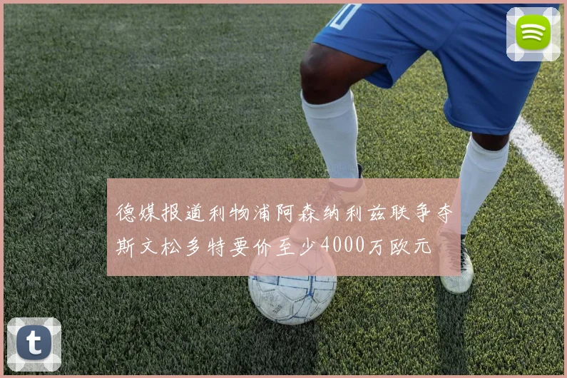 德媒报道利物浦阿森纳利兹联争夺斯文松多特要价至少4000万欧元
